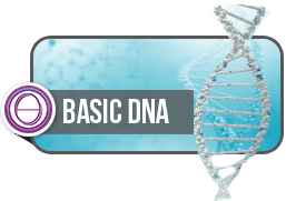 الغلاف الرسمي لدورة Basic DNA